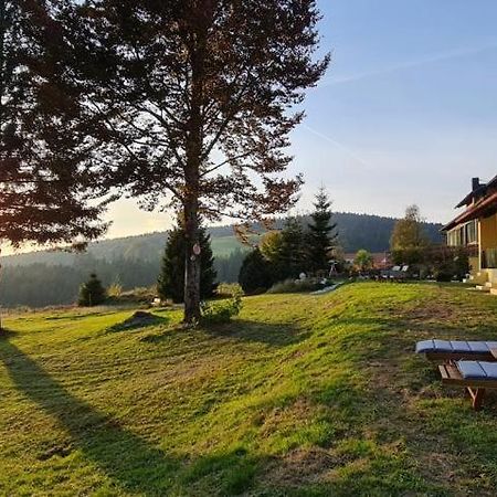 Dreisessel Motel Haidmühle Extérieur photo